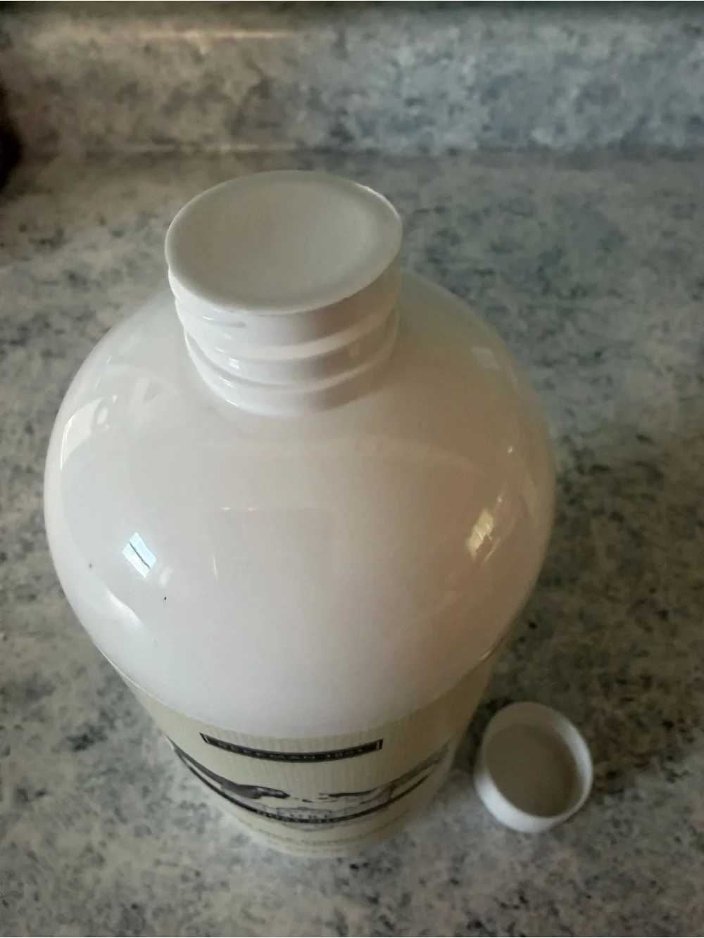 Beekman 1802 Pure Goat Milk Conditioner - 24 fl oz